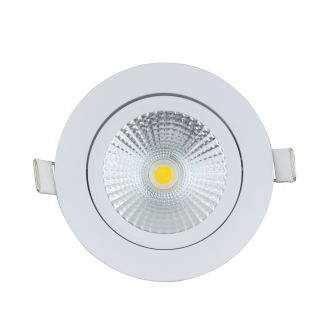 WIT LARGE 22401 (2).png